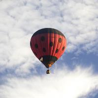 Northampton Balloon Festival 2017