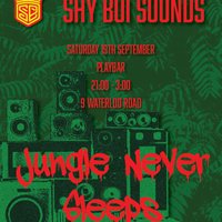 SHY BOI SOUNDS + Drum and Bass + JUNGLE Never SLEEPS at Play Bar Hinckley