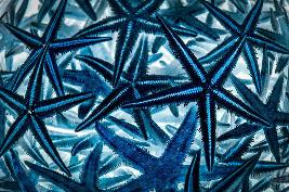 Patterns photography exhibition