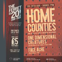 The Ferret is 20! // Home Counties + guests at The Ferret