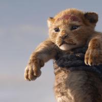 The Lion King 2019 - Open Air Cinema at Dartmoor Zoo at Dartmoor Zoological Park