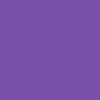 Prince Tribute Endorphinmachine