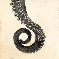 Fast & Bulbous