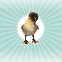 Northern Ballet: The Ugly Duckling