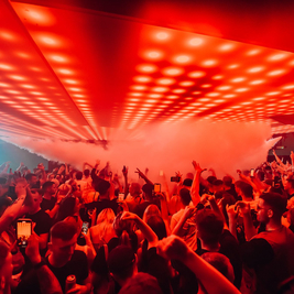 system. presents MiNT Festival after party