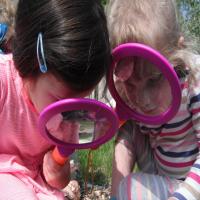 Nature Tots at the HIVE