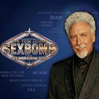 SEXBOMB   Celebrating the music of sir Tom Jones