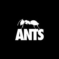 Ants Ants