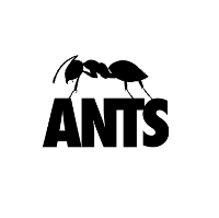 Ants