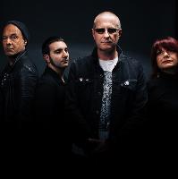The Bronsons play the Plasma TV Show