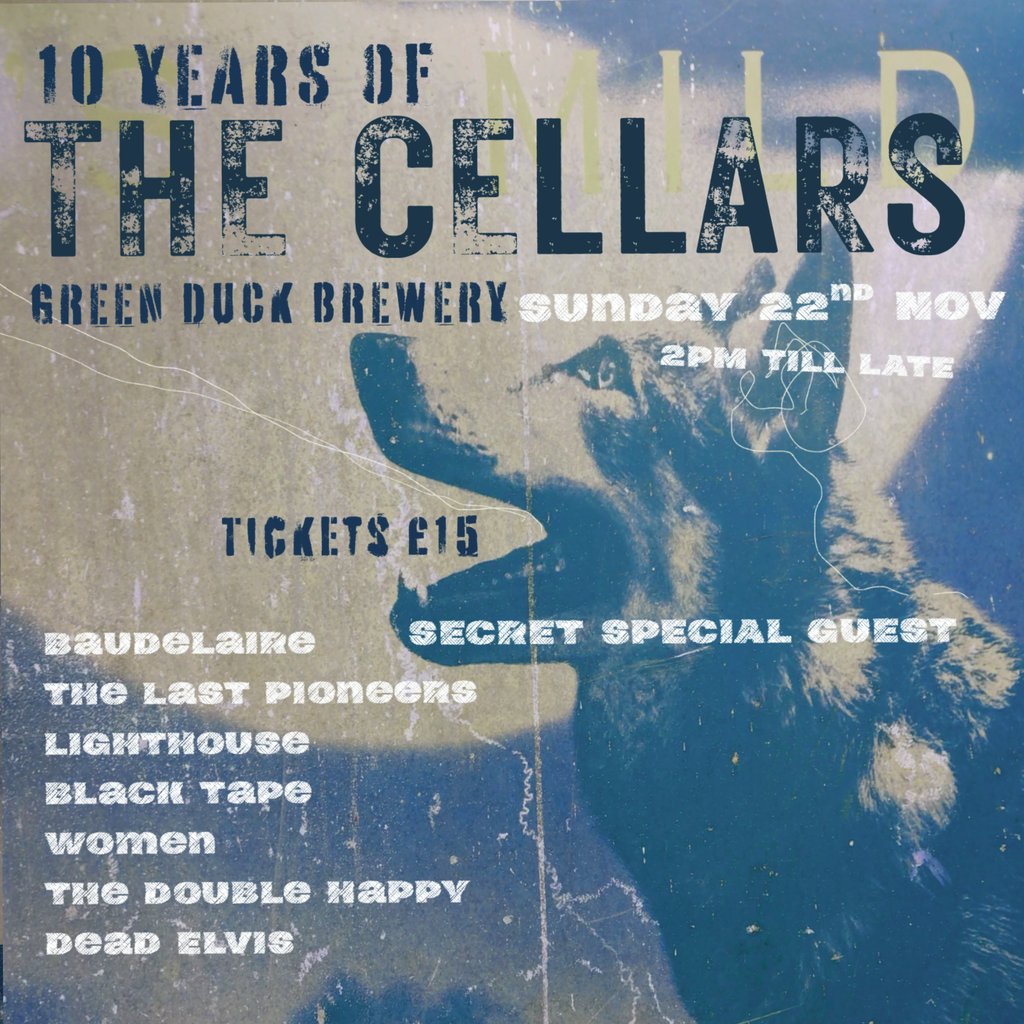 10 Years of the Cellars