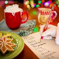Santa`s Grotto Experience