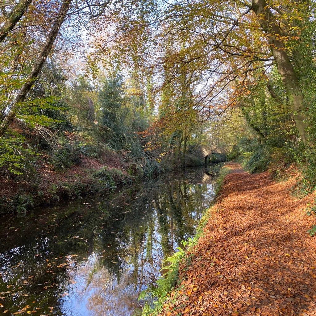Chepstow Autumn Walking Festival at Chepstow TIC, Chepstow