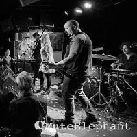The Darling Buds/Helen Love at The Lexington