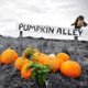 Pumpkin Alley Pick Your Own Event Title Pic