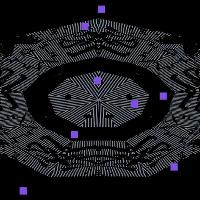 Transforming Symmetries workshop