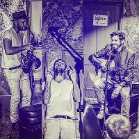 The Living Rogues Live at The Roguery