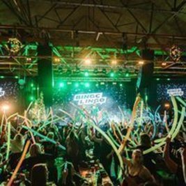 Bingo Lingo Southampton - Student Tour