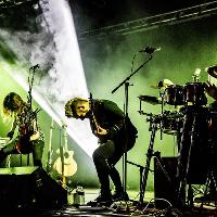 The Roving Crows