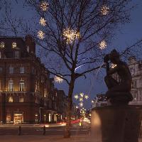 Chelsea Christmas Lights Switch On