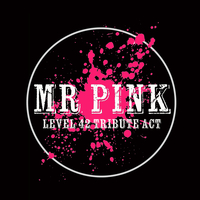 Mr Pink (Level 42 tribute) at The Bungalow, Paisley at The Bungalow Bar