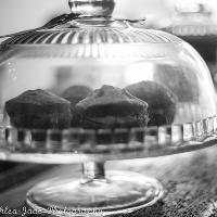 Kindness in a Cup