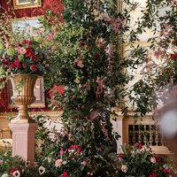 Harewood in Bloom at Harewood House