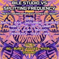 Bile Studio V Splitting Frequencies