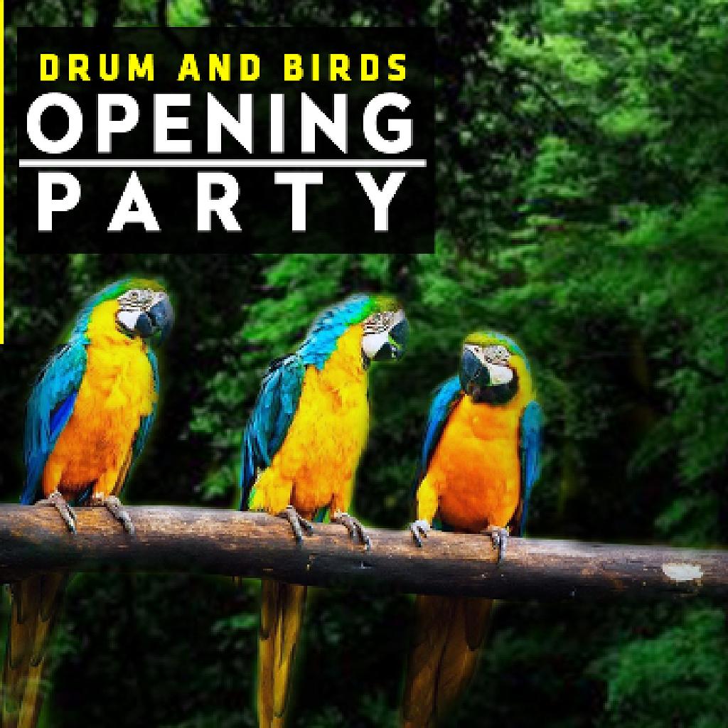 drum birds opening party audiomission dubtime m drum birds opening party audiomission dubtime m