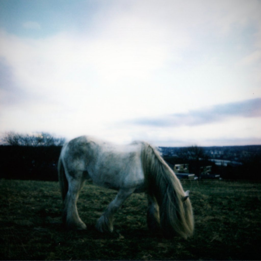 Dean McPhee + The Horse Loom Image