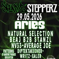 Shady Stepperz