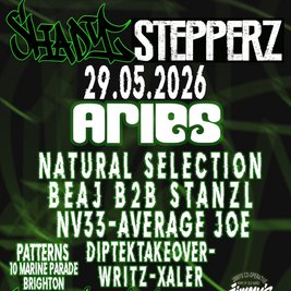 Shady Stepperz