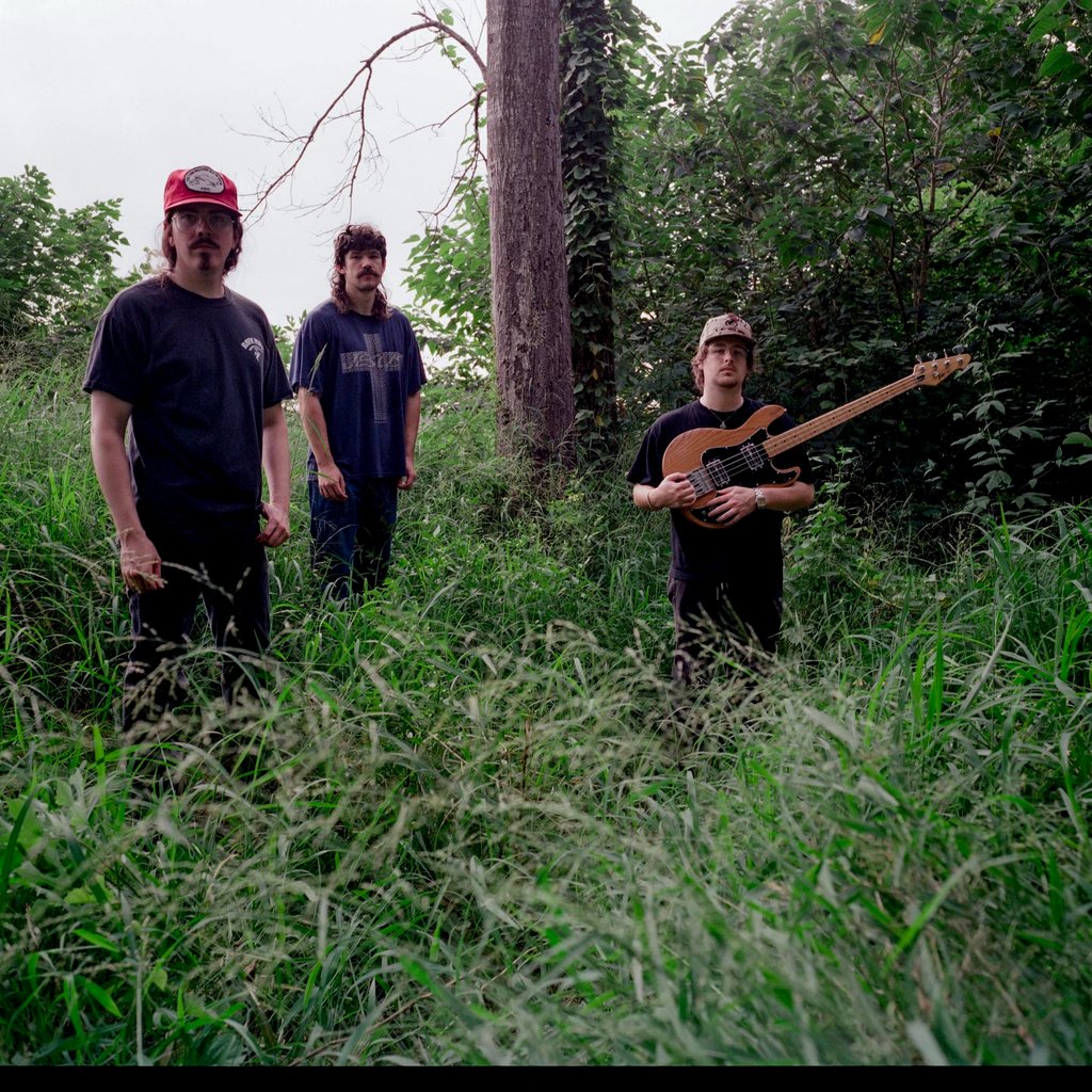 Shallowater Image