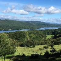 Woodland Gathering V Woodland Gathering V