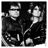 The Rezillos at 229 THE VENUE