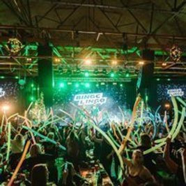 Bingo Lingo - Motion - St Patrick