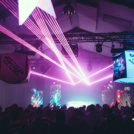 Jungle Mania - Brighton