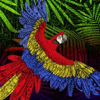 Audio Farm Presents: The Scarlet Macaw