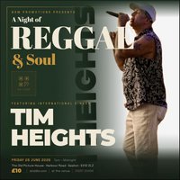 Tim Heights At The Old Picture House, Seaton