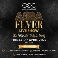 Abba Fever Live Show