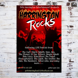 Pete Harrington Rocks!