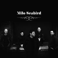 Milo Seabird - Single Launch