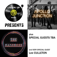 apollo junction, the banshees, special guests and lee culleton at Jimmys Liverpool