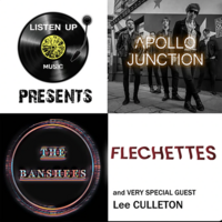 apollo junction, the banshees, flechettes and lee culleton at Jimmys Liverpool