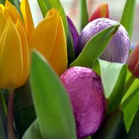Easter Sunday Lunch at Riviera Hotel
