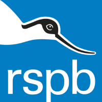 RSPB - East Devon Heath Week 2017