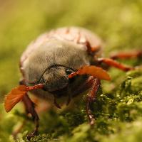 British Wildlife Photography Awards Exhibition