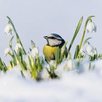 British Wildlife Photography Awards Exhibition