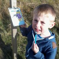 Xplorer Challenge