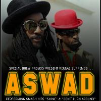 Special Brew present Aswad